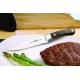 Wellenschliff Steak Messer