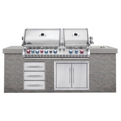 Napoleon Einbau Grillkopf Prestige PRO™ 825er, Propan inkl. Drehspieß