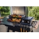 Traeger Ironwood INT