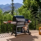 Traeger Ironwood INT