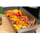 "Steirer am Grill" 27. März 2026, Grillseminar