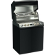 Miele Fire Pro L 4PB, mit Einlegeboden